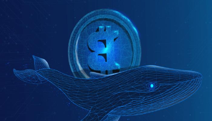 Uykudaki Bitcoin Balinası Uyandı: Binlerce BTC’yi Taşıdı!