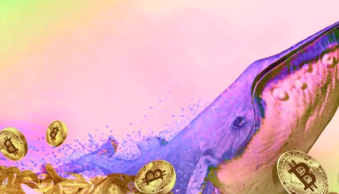 Uykudaki Bitcoin Balinası Uyandı: Milyonlarca Dolarlık BTC Taşındı!