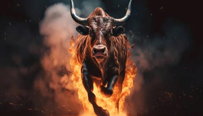 Uzman Görüşü: Bu 3 Altcoin Boğa Koşusuna Hazır!