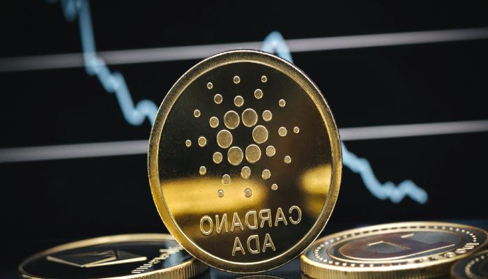 ADA coin fiyat varsayımı: Kasım ayı için iki ihtimal var