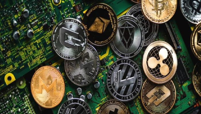 Bitcoin balinası altı yıllık kış uykusundan uyandı