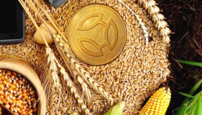 CROPTO tarım token’ları – Ziraî varlıklar blokzincire taşınıyor