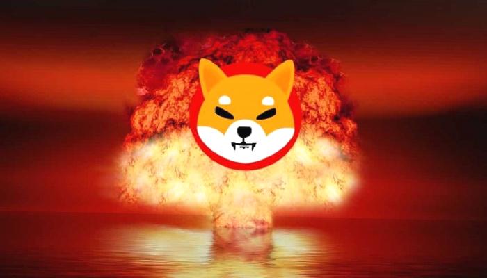 Milyonlarcası yakıldı: SHIB coin rekor tazeledi