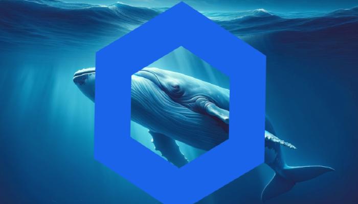 Chainlink (LINK) balina tesiriyle yükselişte: Hedef 25 dolar mı?