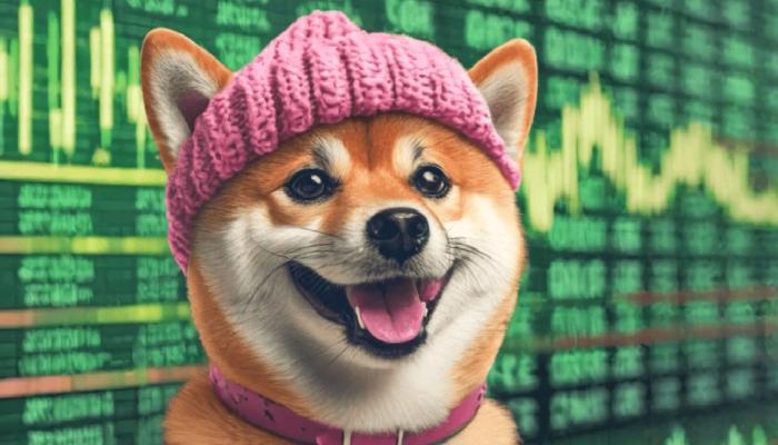 Dogwifhat (WIF) için toplanan para ATH’ı getirdi!